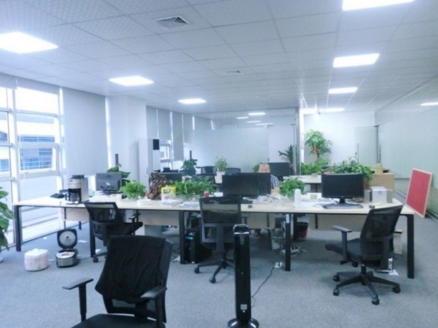 扬州单页彩色印刷模切